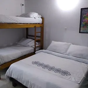 palm-tree-hostel.colombiamedellinhotels.com/